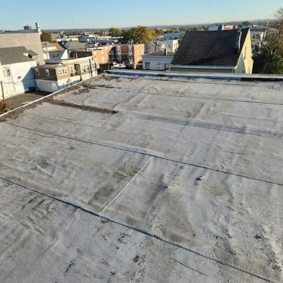 Reading a Flat Roof Moisture Survey — Myths and Facts