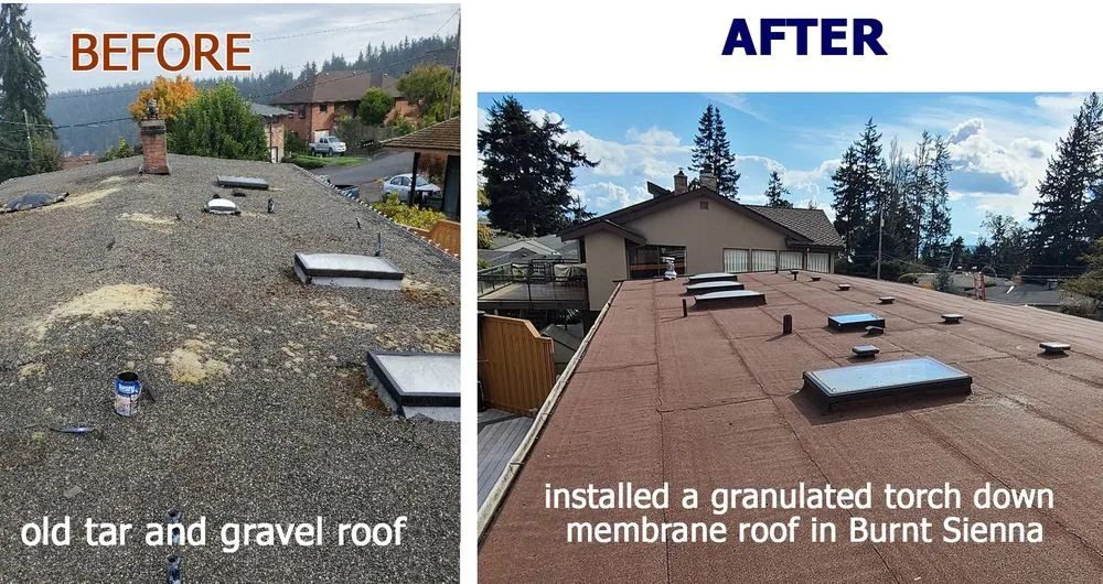 Torch Down vs TPO for a Santa Monica Flat Roof — Costs and Timelines