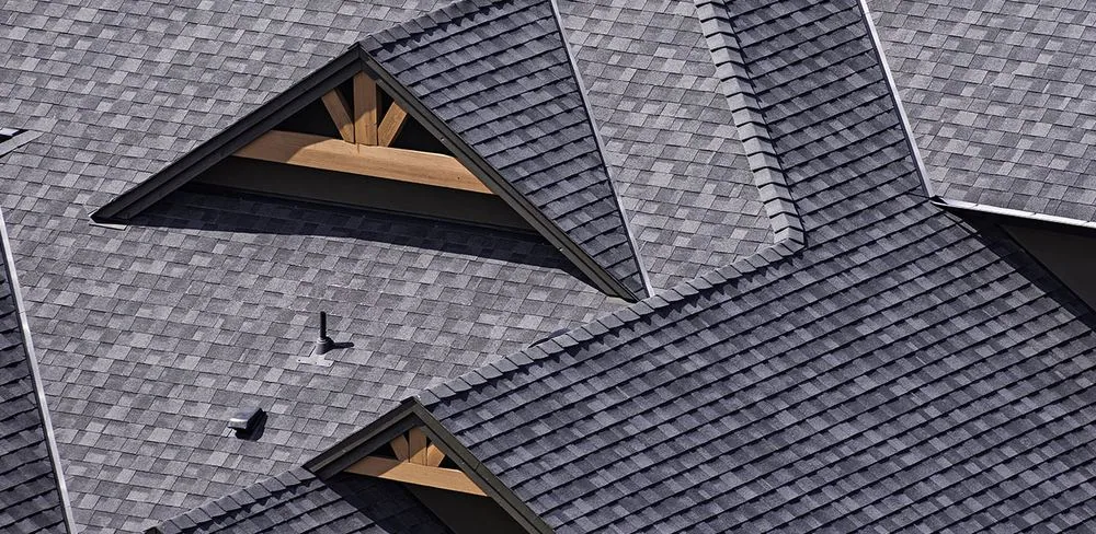 Tree Overhang and Roof Life — Quick Reference