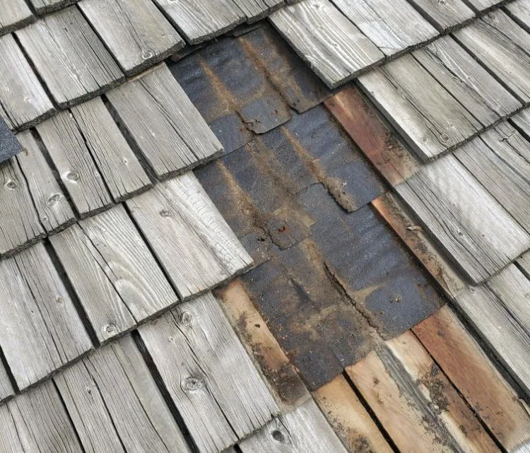 Documenting Storm Damage for a Claim: West La Edition