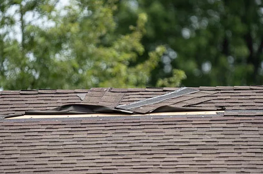 Missing Shingles — Act Now or Wait? — Questions to Ask