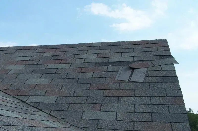 Water Stains: Roof Leak or Condensation? — Common Mistakes