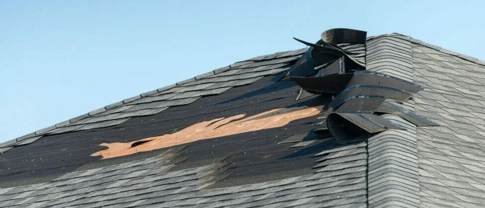 Documenting Storm Damage for a Claim in Santa Monica corridor (Part 2)